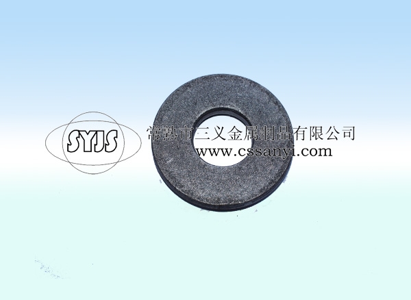 Fish ring flat washers